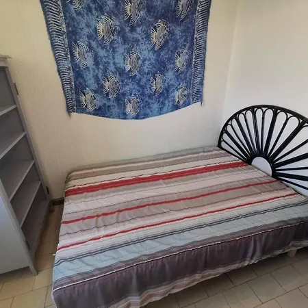 5029 - Cap D'agde T2 A 150 M De La Du Mole Et De L'allee De La Flanerie アグド