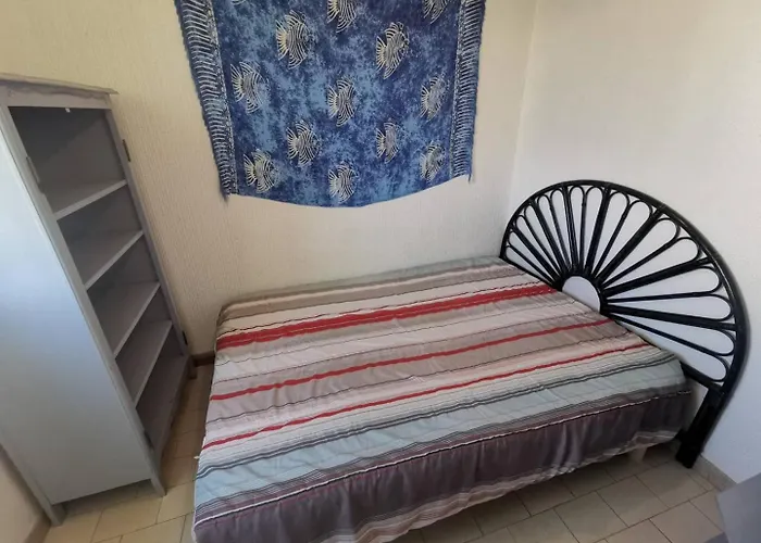 5029 - Cap D'agde T2 A 150 M De La Du Mole Et De L'allee De La Flanerie アグド