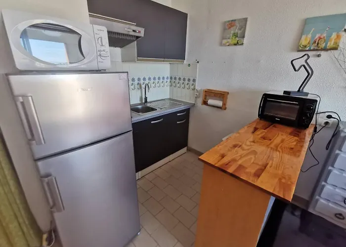 5029 - Cap D'agde T2 A 150 M De La Du Mole Et De L'allee De La Flanerie